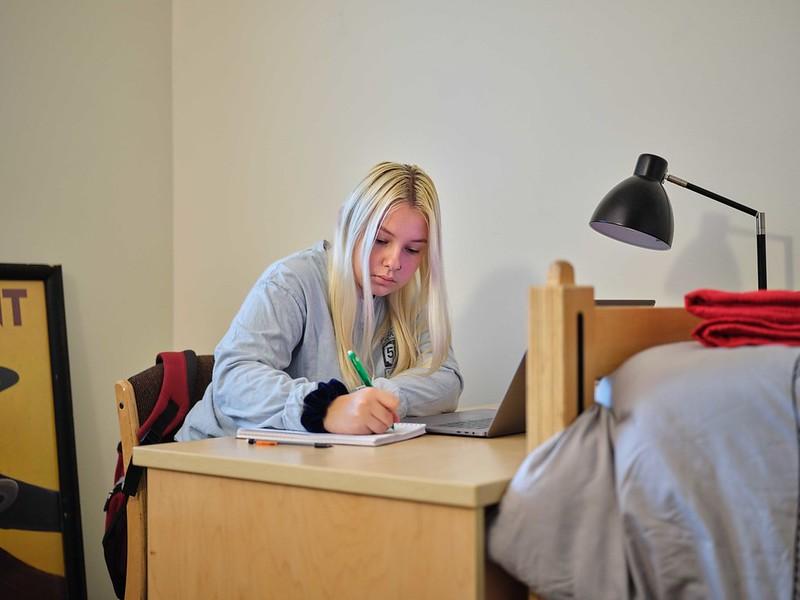 Student at her desk studying