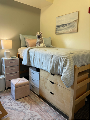 A decorated dorm in South Hall 